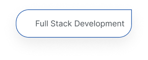 Full Stack Development