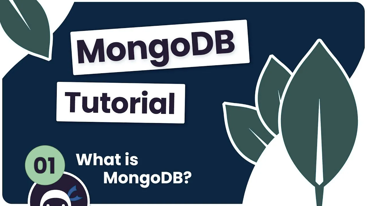 **MongoDB Basics for Full Stack Developers**